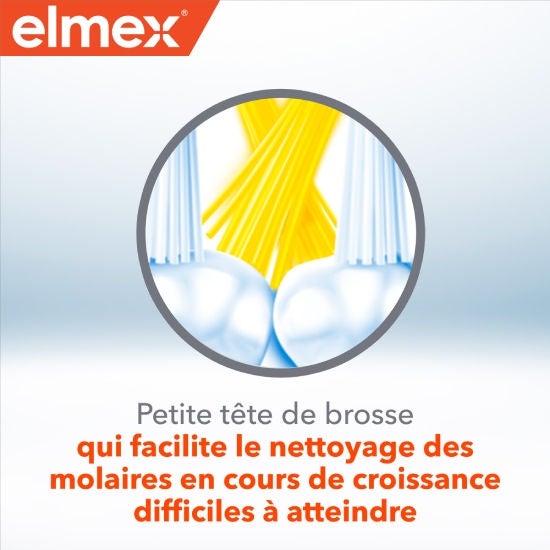 Petite Tete de brosse qui facilite lo nettoyage des molaires en cours de croissance difficiles a atteindre