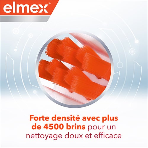 Forte densité