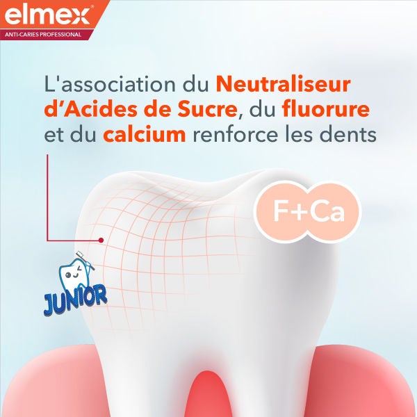 Schéma d'une molaire protégée par un bouclier invisible avec des symboles de fluor et calcium (F+Ca)