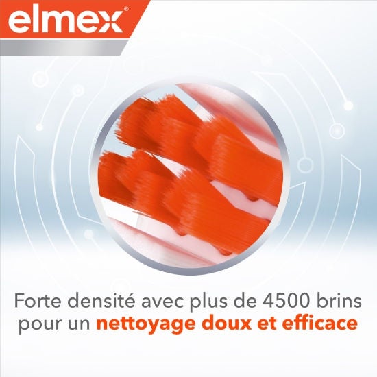 Forte densité avec plus 4500 brins