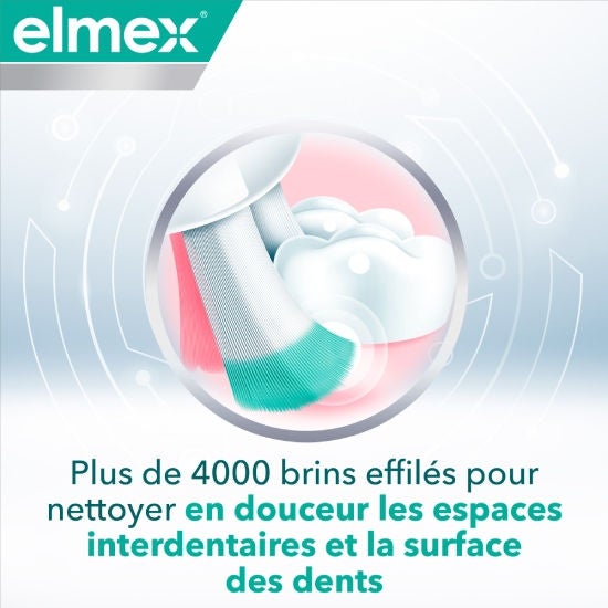 Plus de 4000 brins effilés pour nettoyer