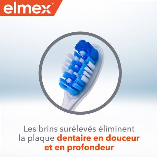 Plus de 4000 brins