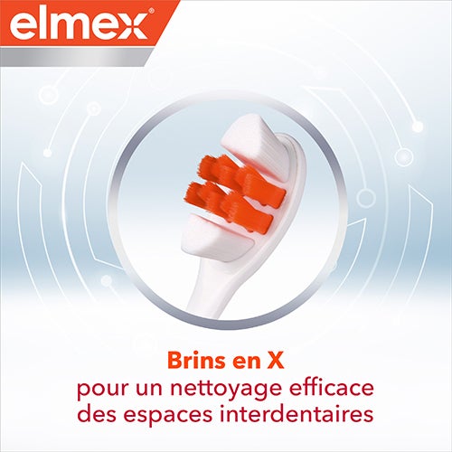 Brins en X